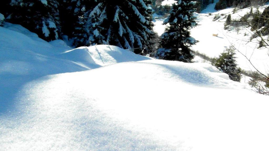 Penzion Luenerhof Neustift im Stubaital Exteriér fotografie